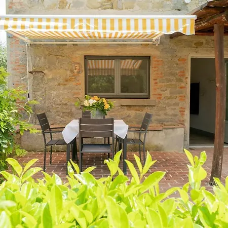 Italian Experience - Albicocca Tuoro sul Trasimeno